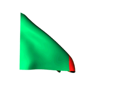 could not find image
